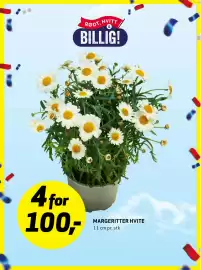 Bunnpris uke 18 Side 28