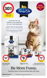 Coles catalogue week 18 Page 44