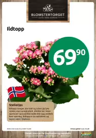 Joker kundeavis Side 13