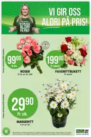 Kiwi kundeavis uke 18 Side 19