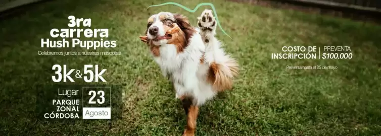 Catálogo Hush Puppies Página 1