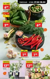 Biedronka gazetka tydzień 18 Strona 41