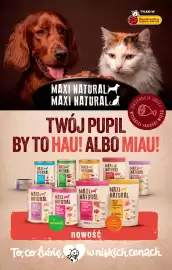 Biedronka gazetka tydzień 18 Strona 77