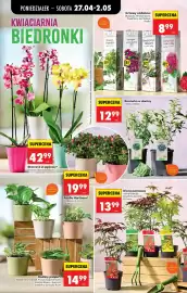 Biedronka gazetka tydzień 18 Strona 90