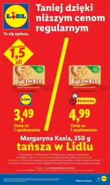 Lidl gazetka Strona 21