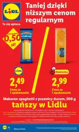 Lidl gazetka Strona 24