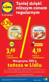 Lidl gazetka Strona 29