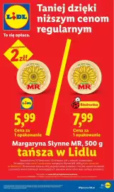 Lidl gazetka Strona 31