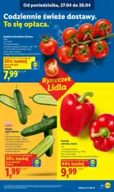 Lidl gazetka Strona 41