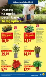Lidl gazetka Strona 89