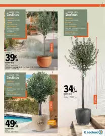 Catalogue E.Leclerc Brico | Plantes page 3