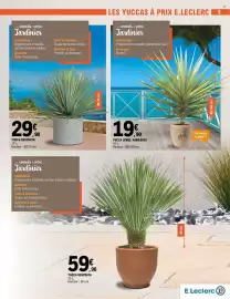 Catalogue E.Leclerc Brico | Plantes page 5