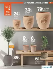 Catalogue E.Leclerc Brico | Plantes page 7