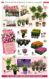 Catalogue E.Leclerc | Tous au Jardin page 2