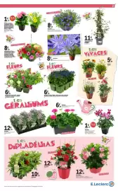 Catalogue E.Leclerc | Tous au Jardin page 3