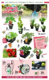 Catalogue E.Leclerc | Tous au Jardin page 6