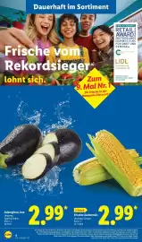 Lidl Prospekt woche 20 Seite 10