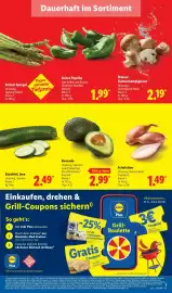 Lidl Prospekt woche 20 Seite 11