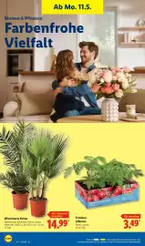 Lidl Prospekt woche 20 Seite 74