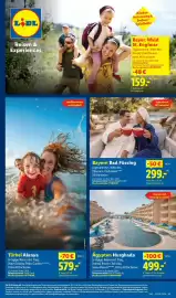 Lidl Prospekt woche 20 Seite 77