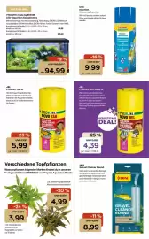 ZOO & Co Flugblatt woche 18 Seite 11