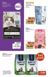 ZOO & Co Flugblatt woche 18 Seite 2