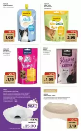 ZOO & Co Flugblatt woche 18 Seite 4