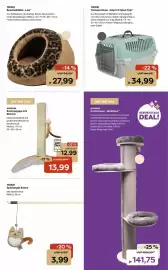 ZOO & Co Flugblatt woche 18 Seite 5