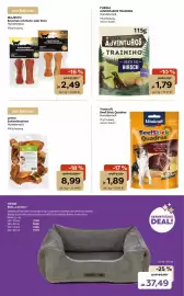 ZOO & Co Flugblatt woche 18 Seite 8