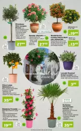 Salzburger Lagerhaus Flugblatt Seite 2