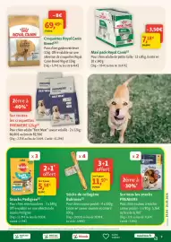 Catalogue Maxi Zoo page 9