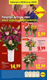 Lidl folder week 19 Pagina 32