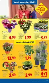 Lidl folder week 19 Pagina 17