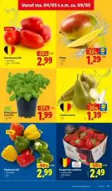 Lidl folder week 19 Pagina 3