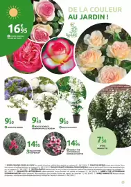 Catalogue Mr Bricolage page 5