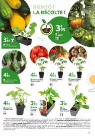 Catalogue Mr Bricolage page 7