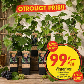 EKO reklamblad vecka 18 Sida 10