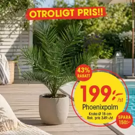 EKO reklamblad vecka 18 Sida 1