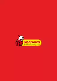 Biedronka gazetka tydzień 18 Strona 11