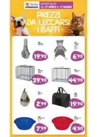 Volantino Ayoka Pagina 15