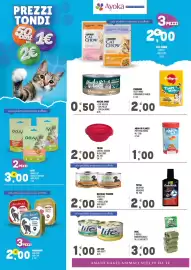 Volantino Ayoka Pagina 2