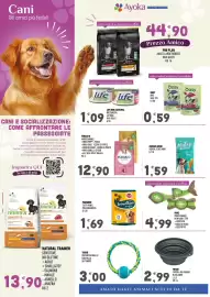 Volantino Ayoka Pagina 4