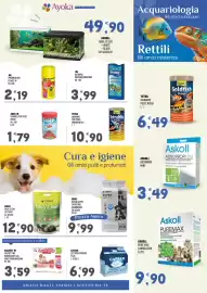 Volantino Ayoka Pagina 7