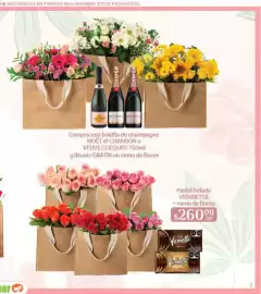 Folleto La Comer Página 3