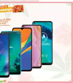 Folleto La Comer Página 67