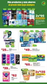 Folleto Bodega Aurrerá Página 5