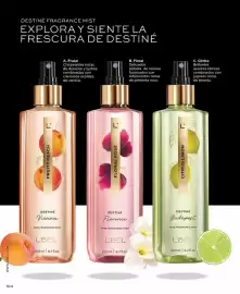 Catálogo L'Bel Página 106