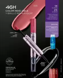 Catálogo L'Bel Página 13