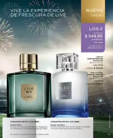 Catálogo L'Bel Página 65