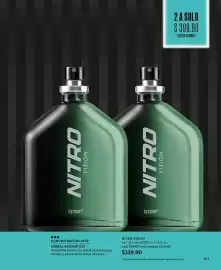 Catálogo Cyzone Página 101